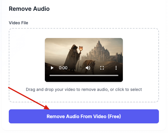 Step 2: Click Remove Audio Button